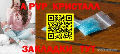 мяу мяу мука Беслан